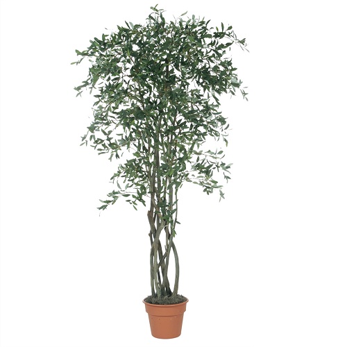 Olive Tree 7' - Artificial Trees & Floor Plants - Artificial Olive tree for rent